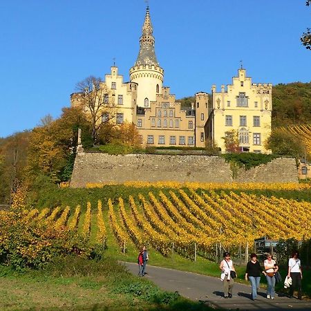 Zur Rheinschanz Бад-Хённинген Экстерьер фото