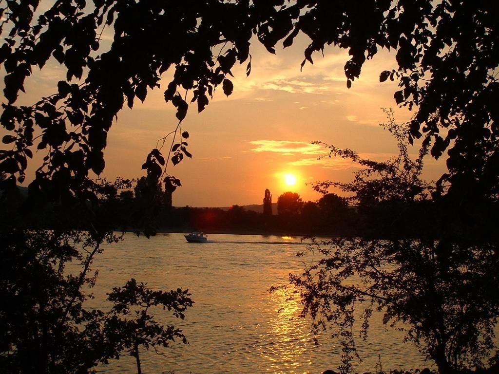 Zur Rheinschanz Бад-Хённинген Экстерьер фото